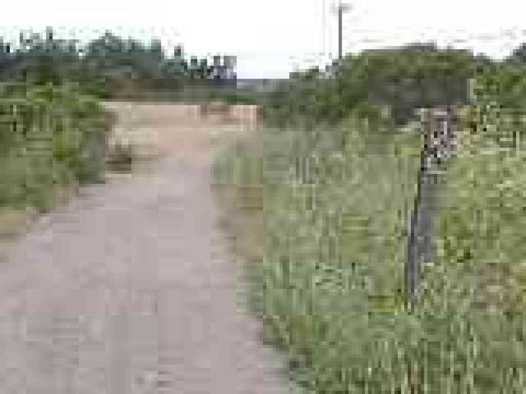 Corte Madera Trail