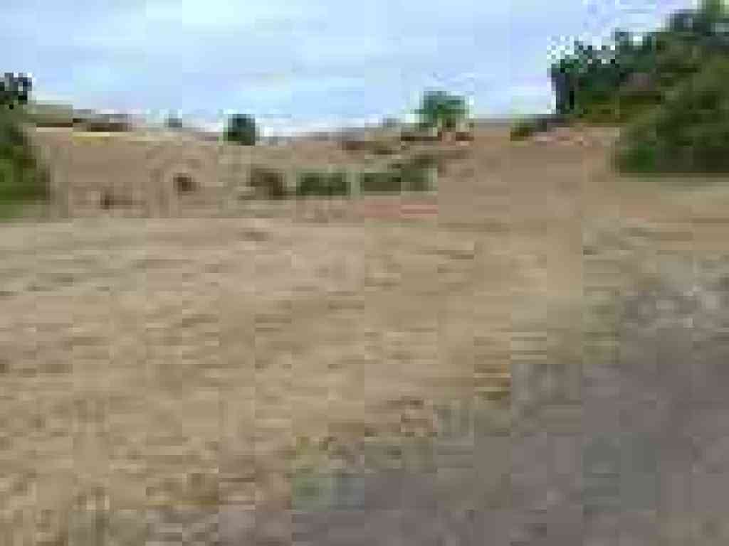A path breaks off to the left