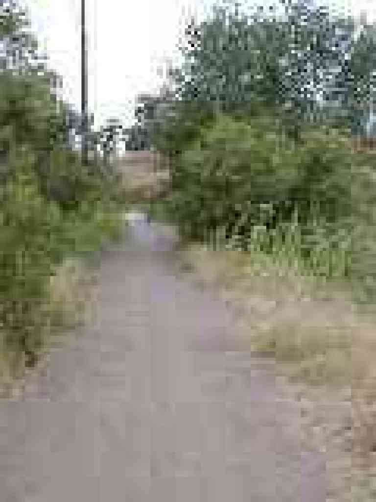 Corte Madera Trail