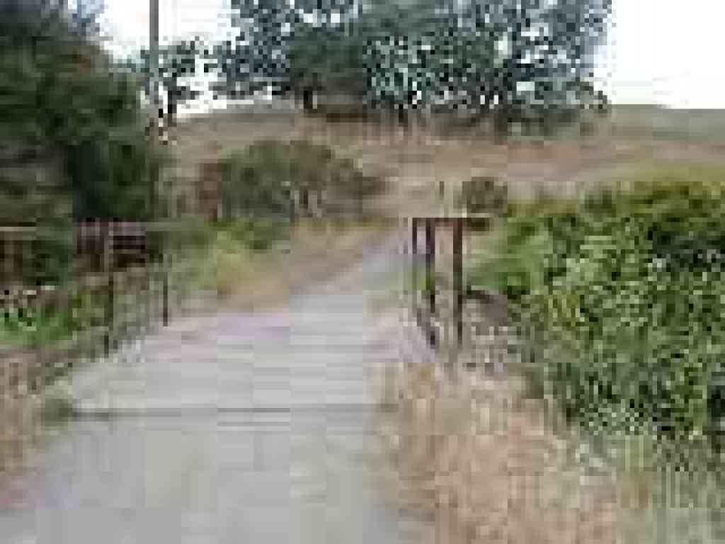 Crossing Corte Madera Creek