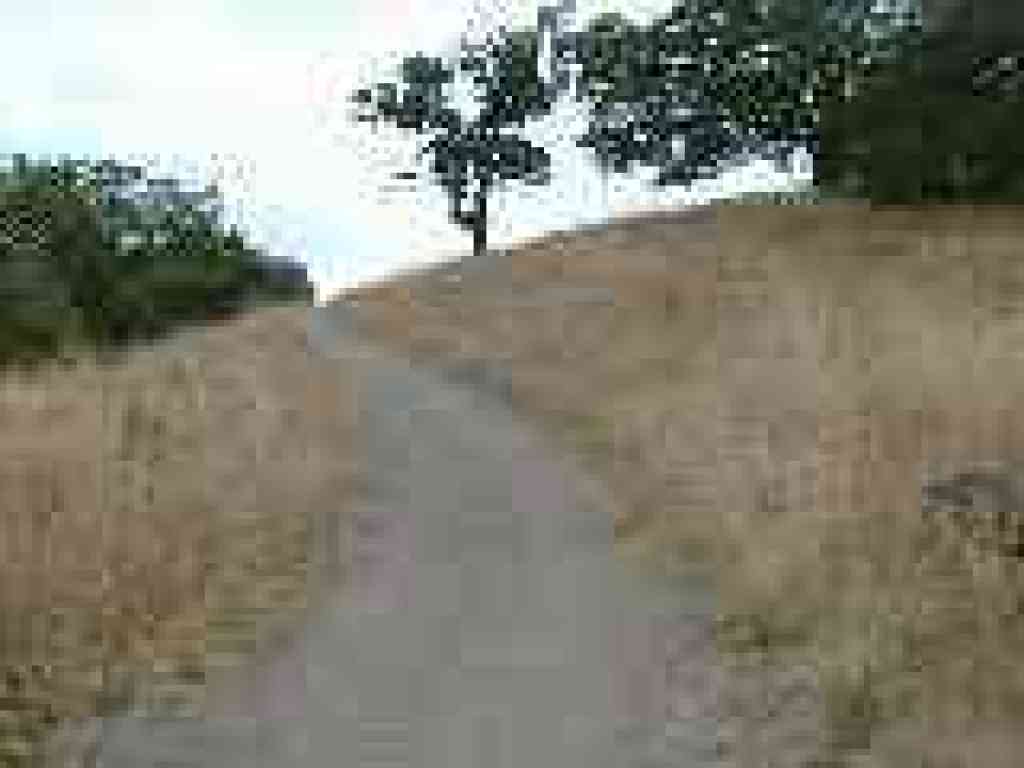 Corte Madera Trail