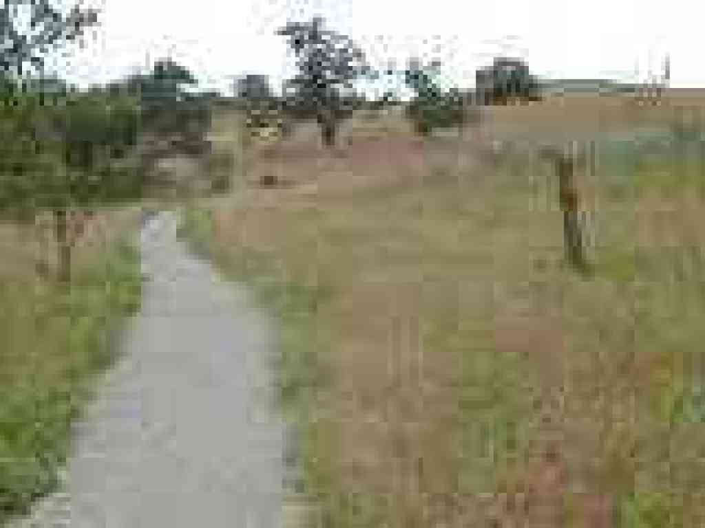 Corte Madera Trail