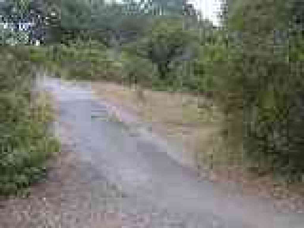 Path breaks off to the right