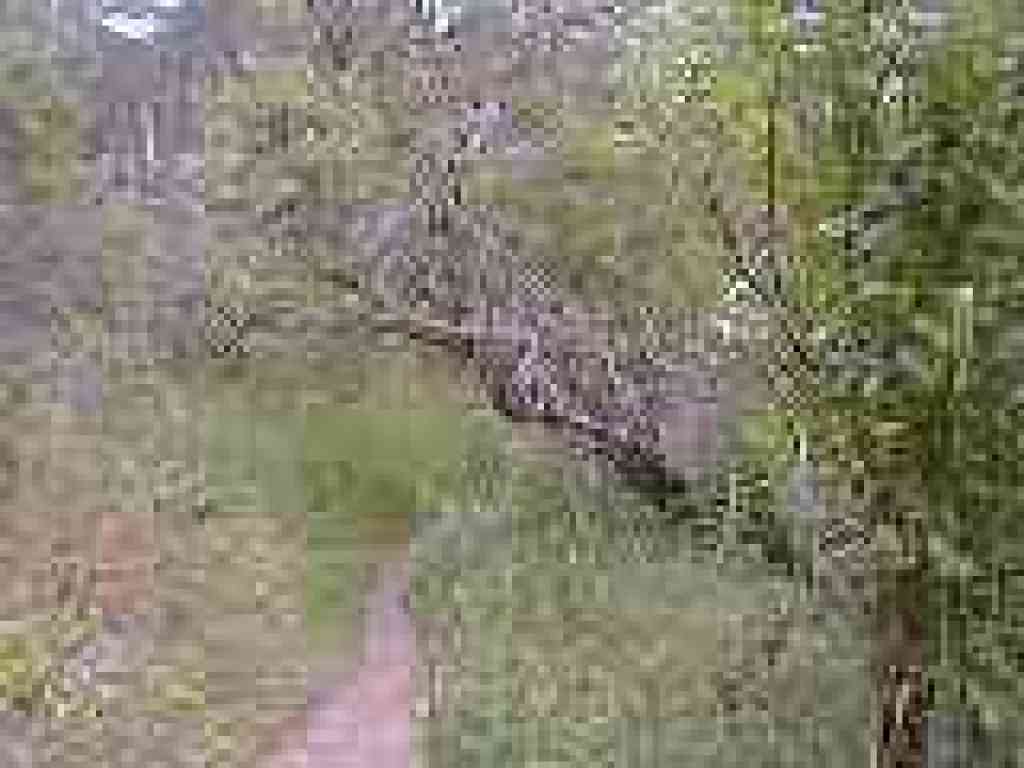 Narrow path around lake