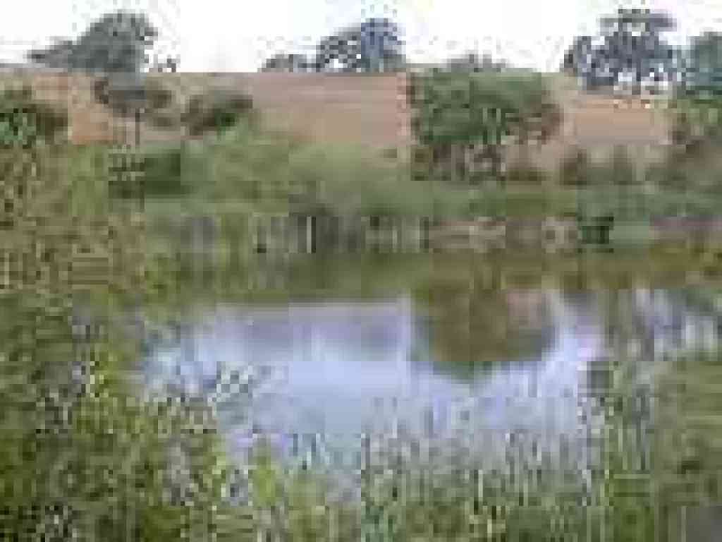 Arastradero Lake