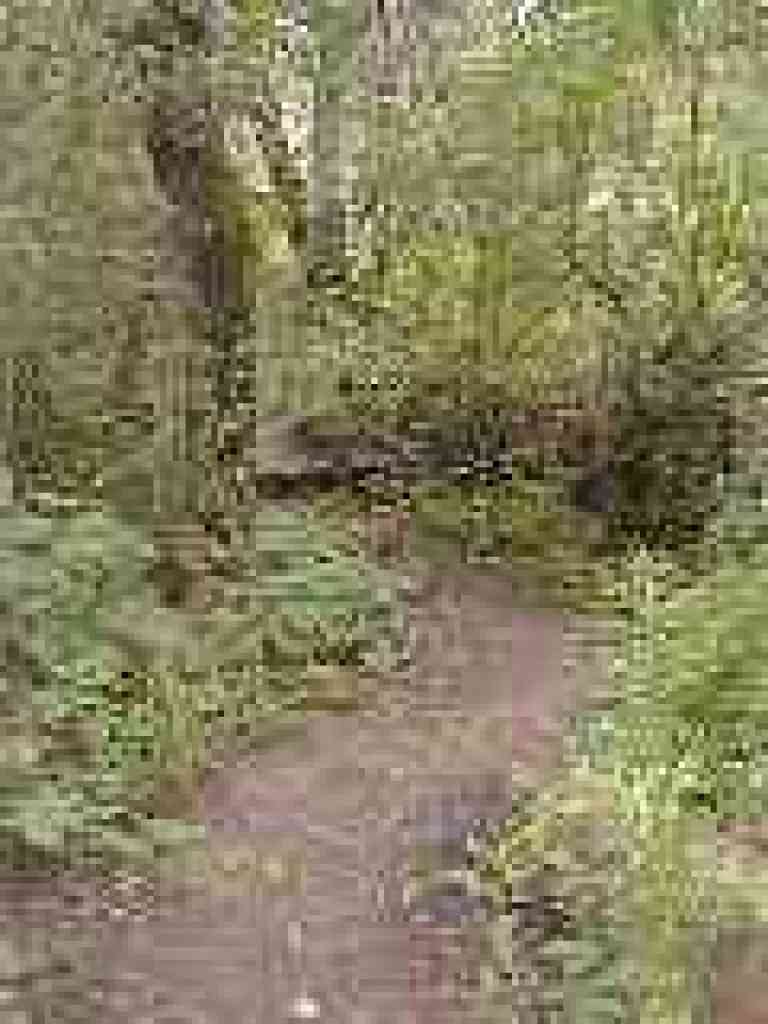 Riparian section