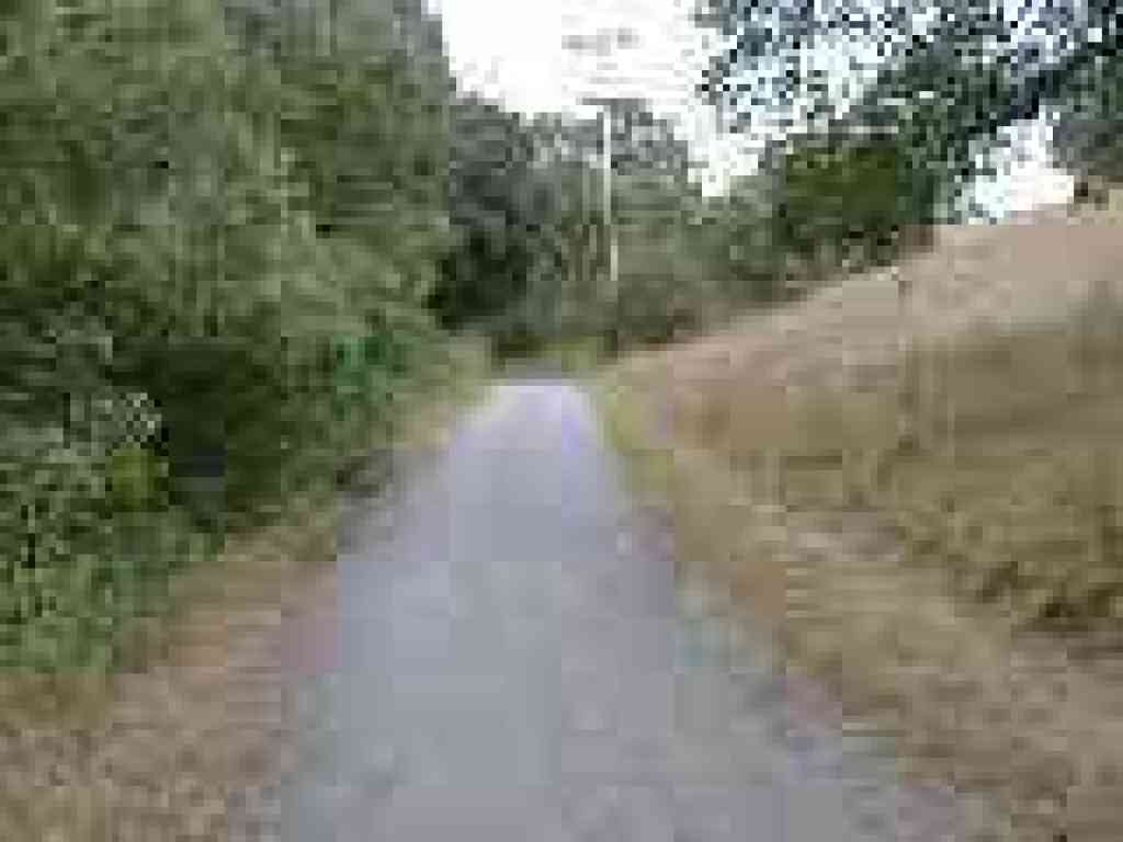 Back on Corte Madera Trail