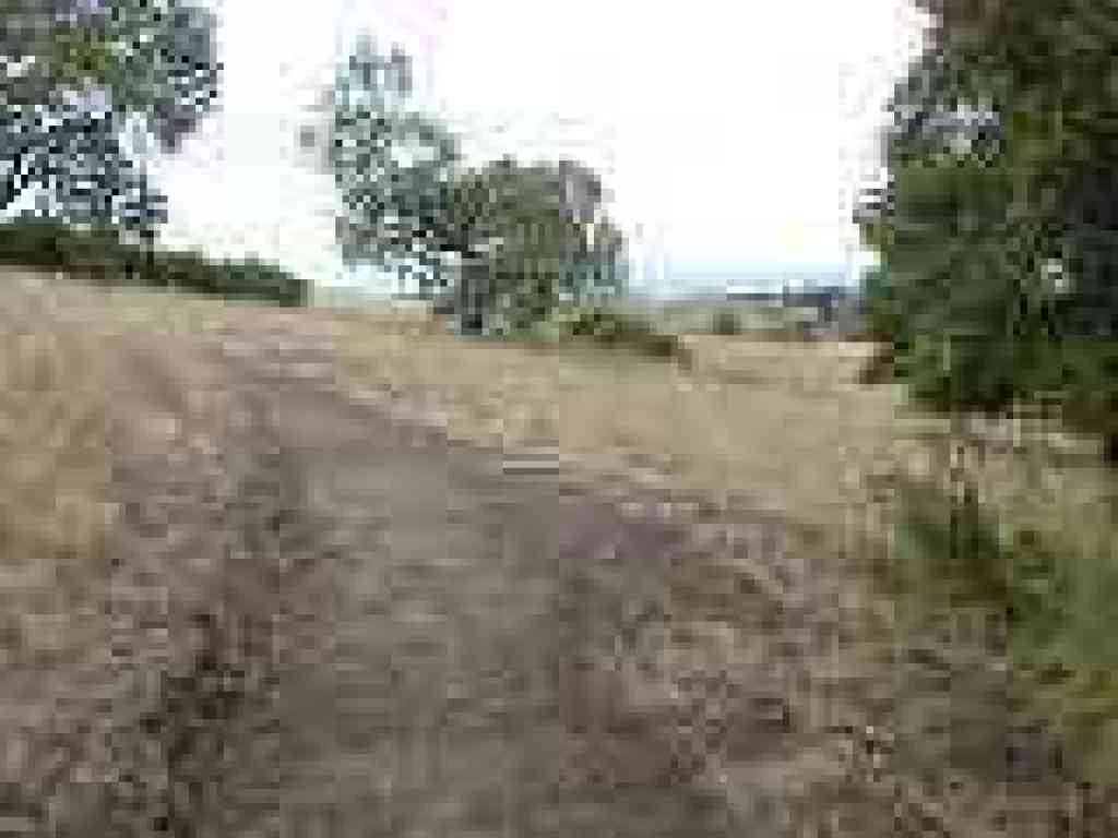 Acorn Trail