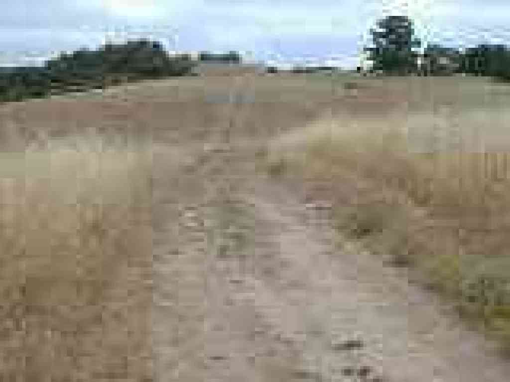 Looking west