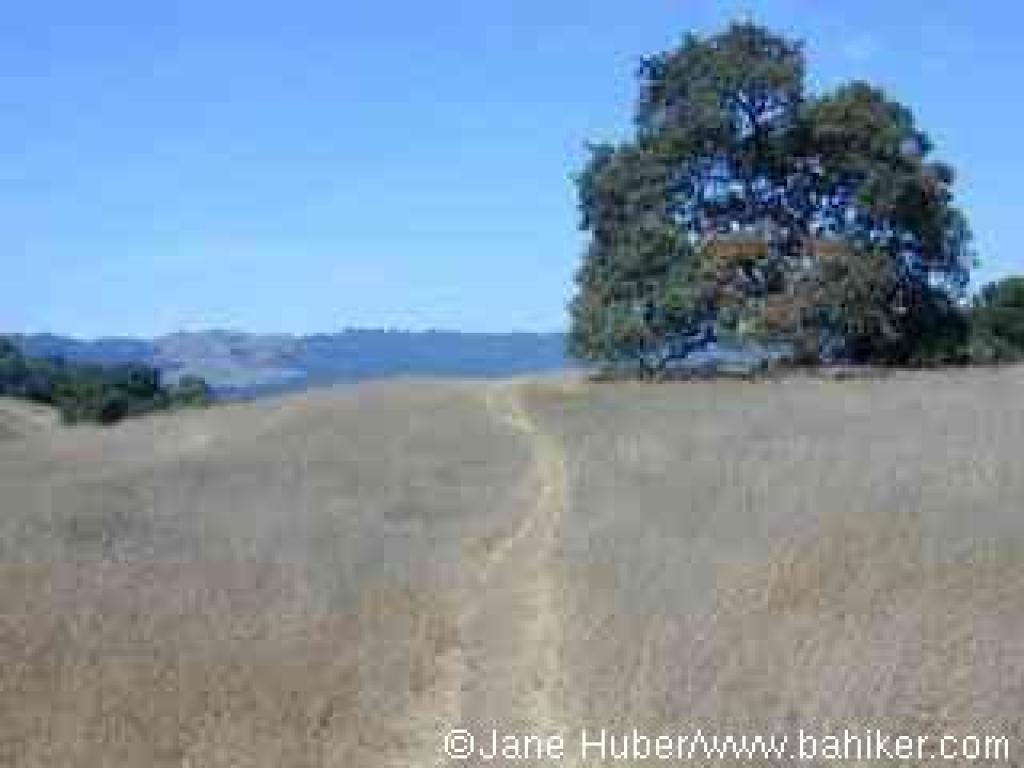A path in the southwest part of the preserve