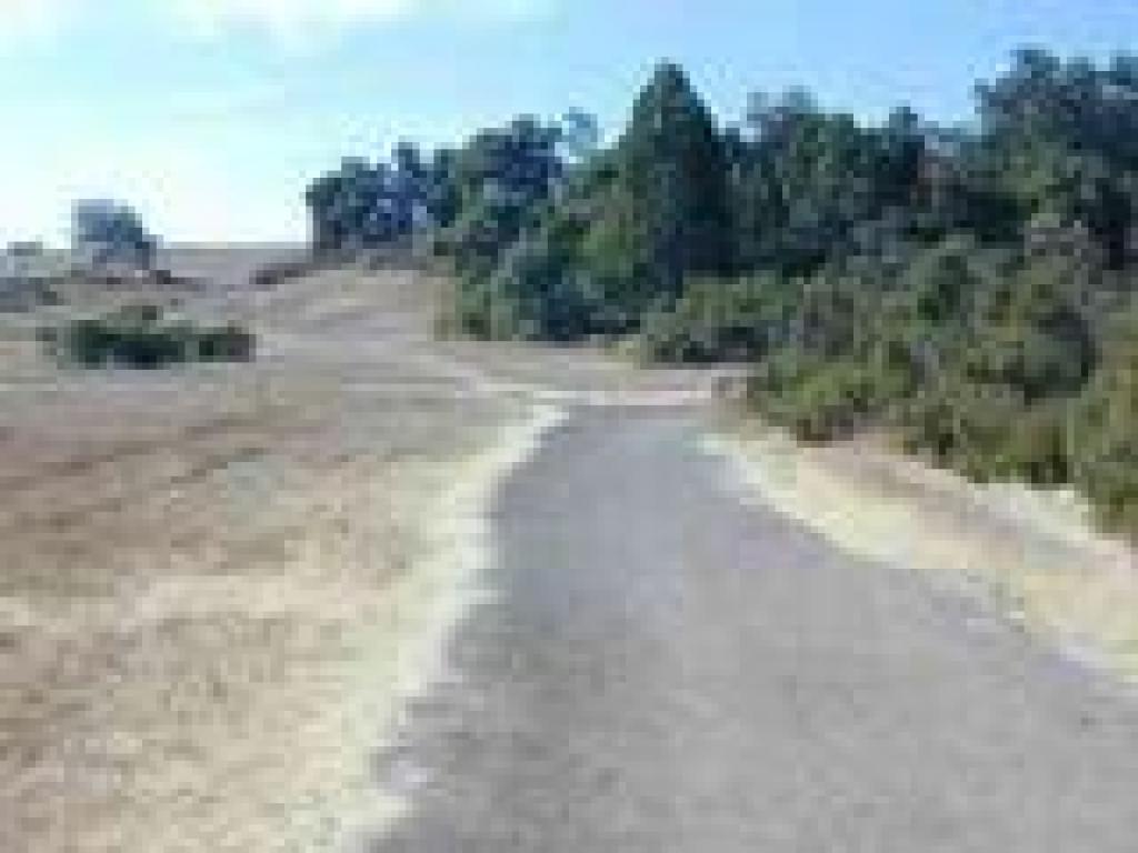 Approaching junction with Wild Rye Trail