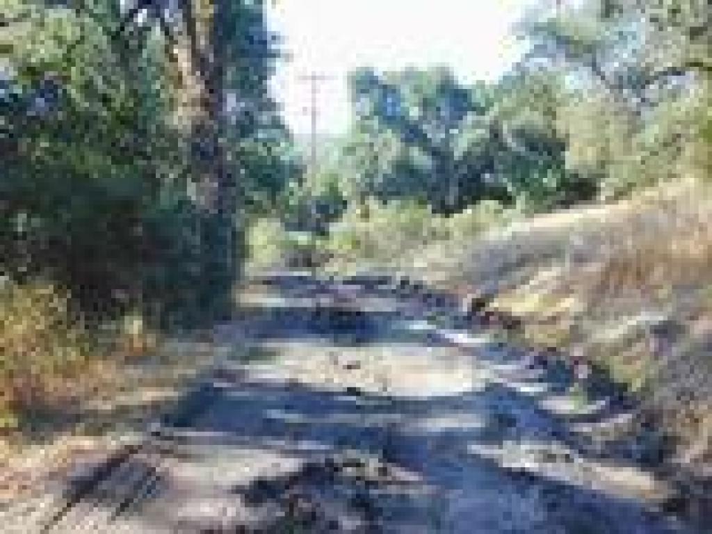 Arastradero Creek Trail