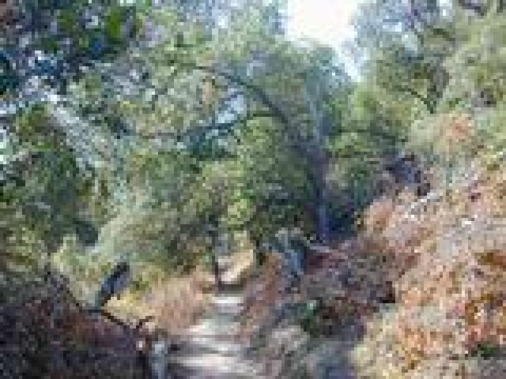 Newly constructed trail