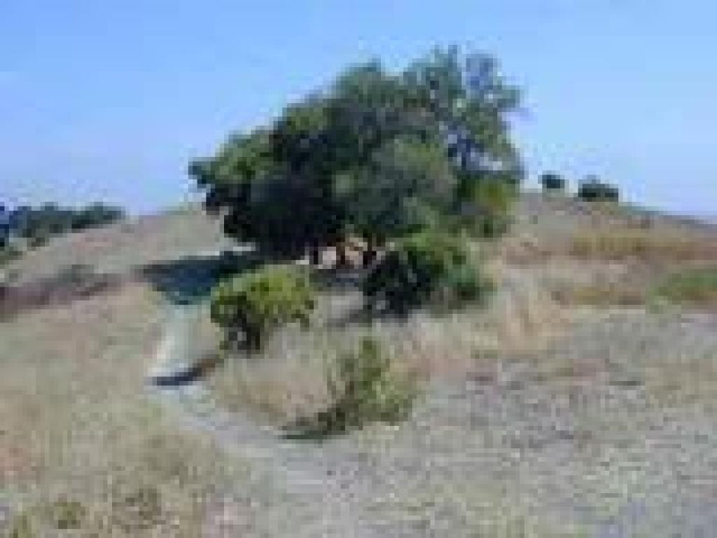 Vista Trail