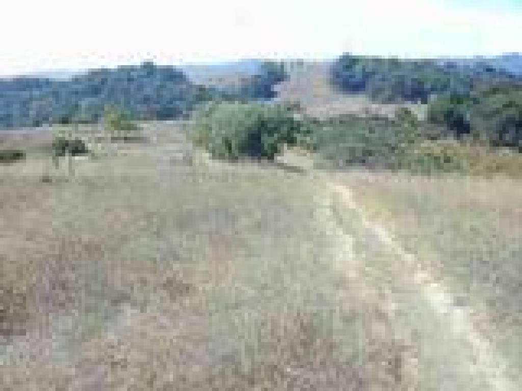 Returning to Meadowlark Trail