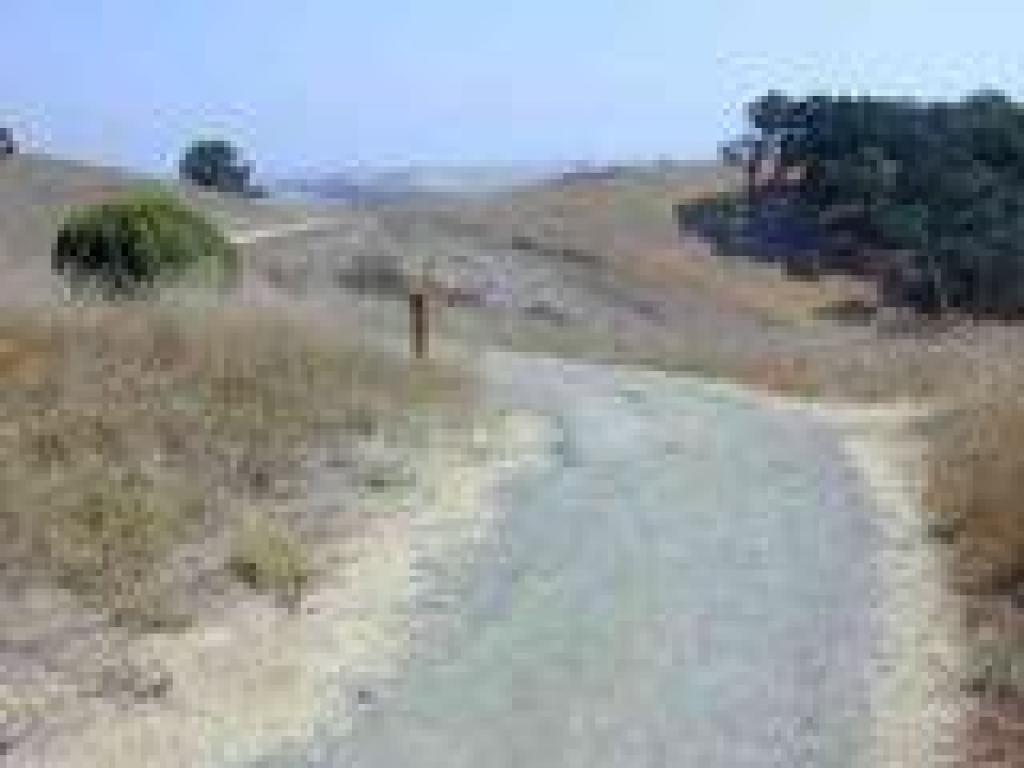 Junction
