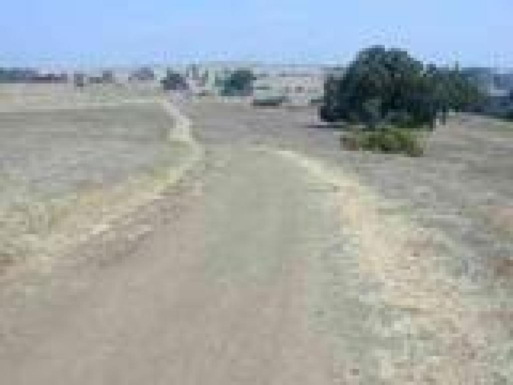 Meadowlark Trail