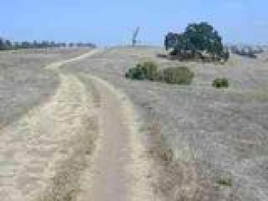 Meadowlark Trail