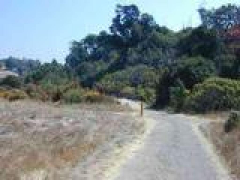 Back at Juan Bautista de Anza Trail