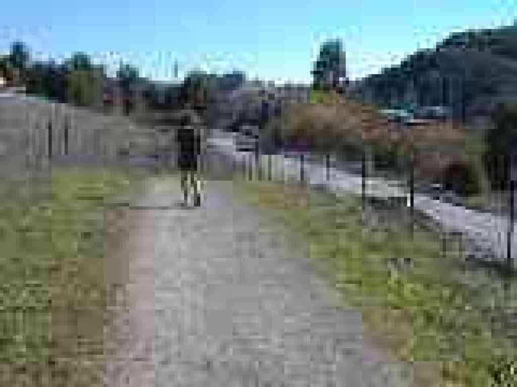 Trail runs along the road before crossing the street and entering the preserve