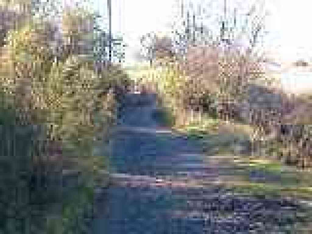 Corte Madera Trail