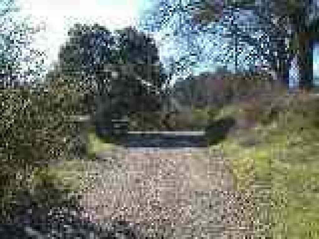 Approaching the pond and a junction
