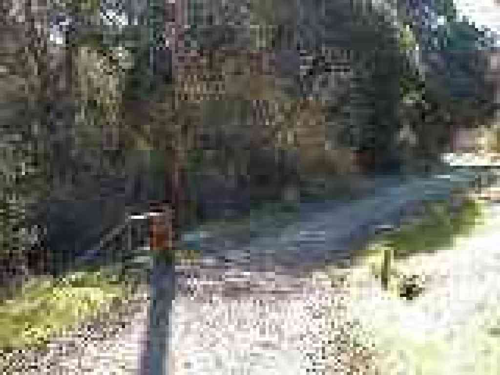 The path around the pond joins Corte Madera Trail