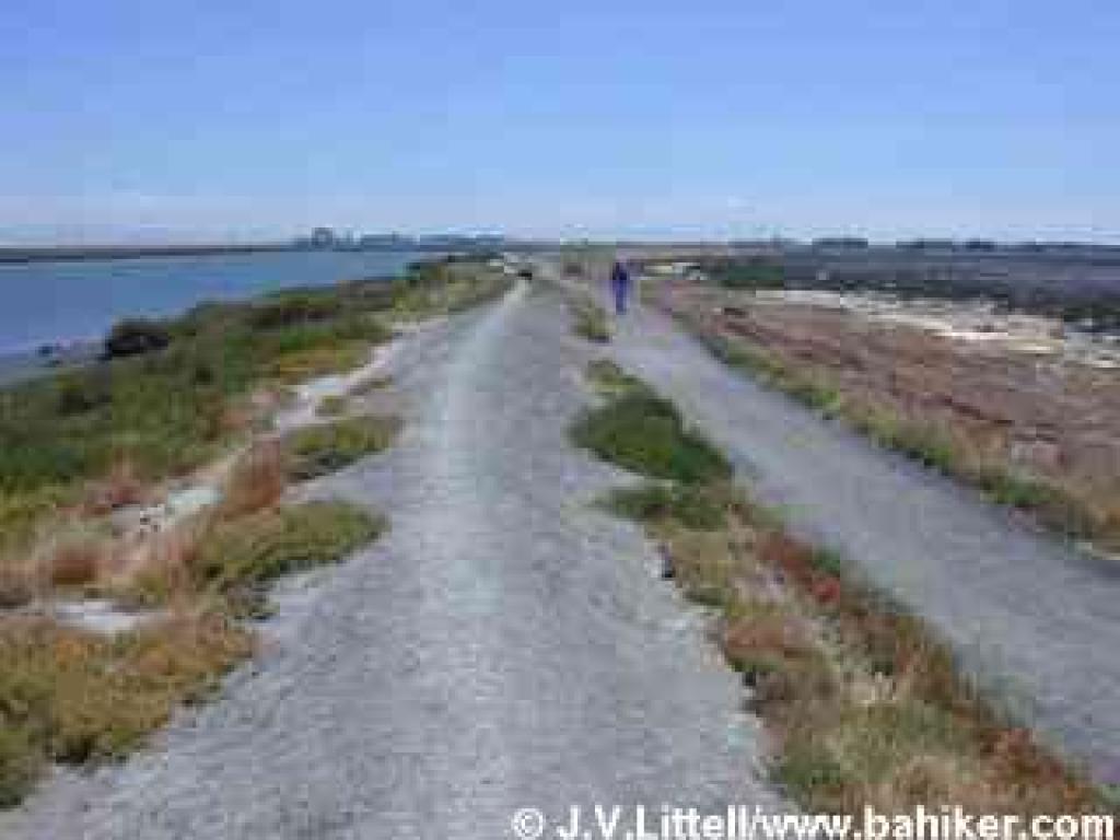 Walking along Smith Slough