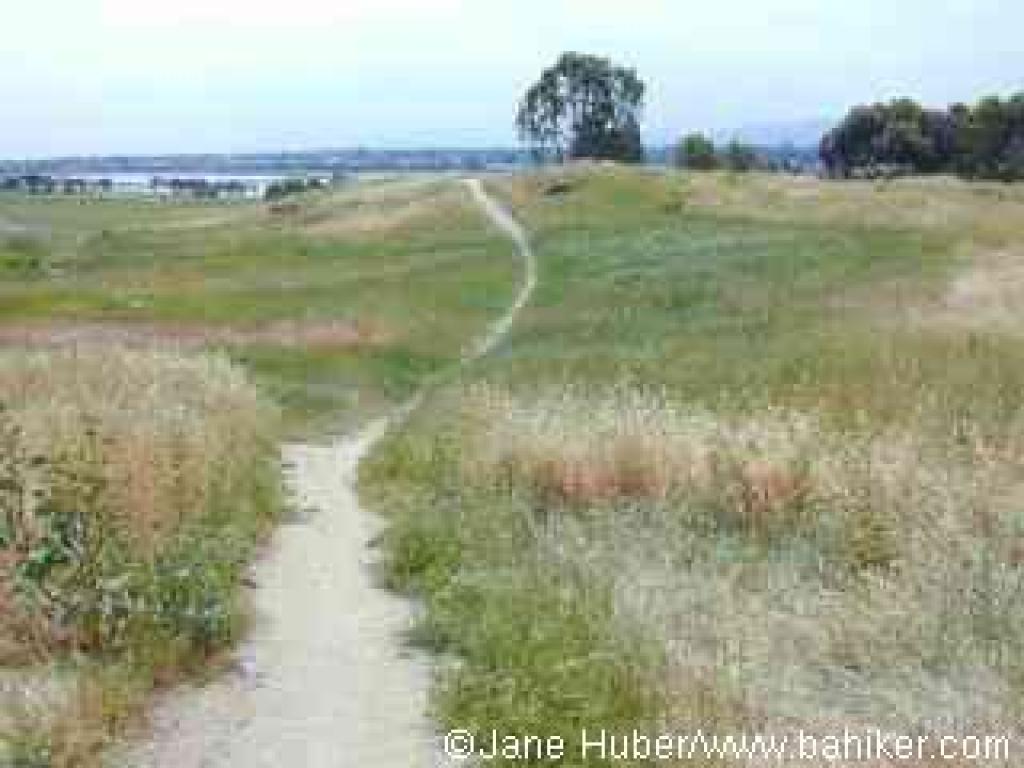 Path