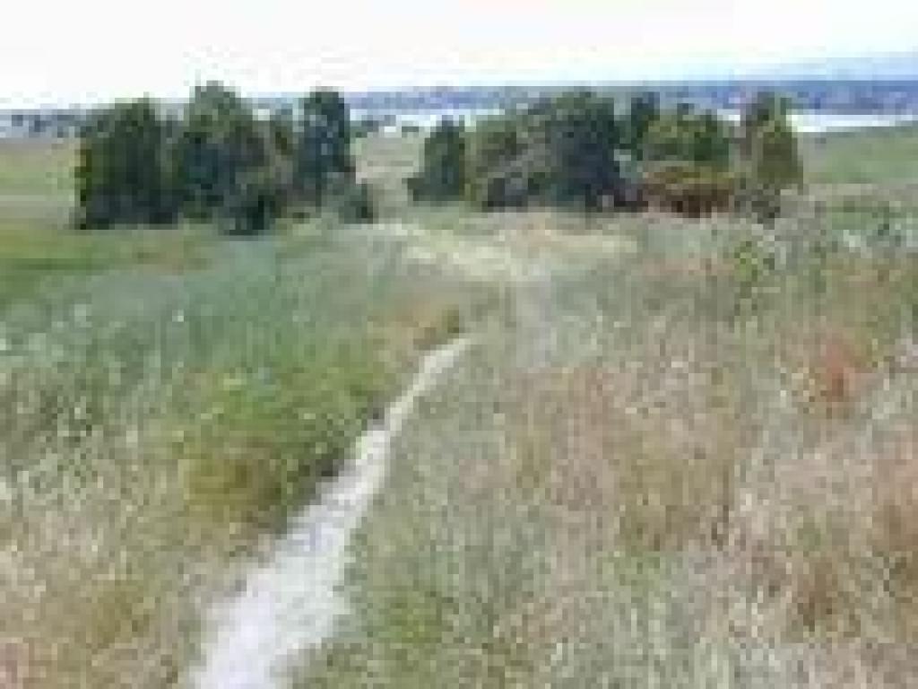 Path
