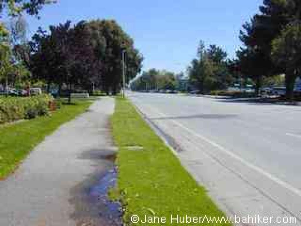 Walking along Embarcadero Road