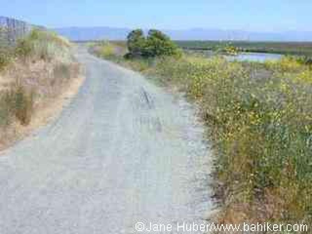 Adobe Creek Trail