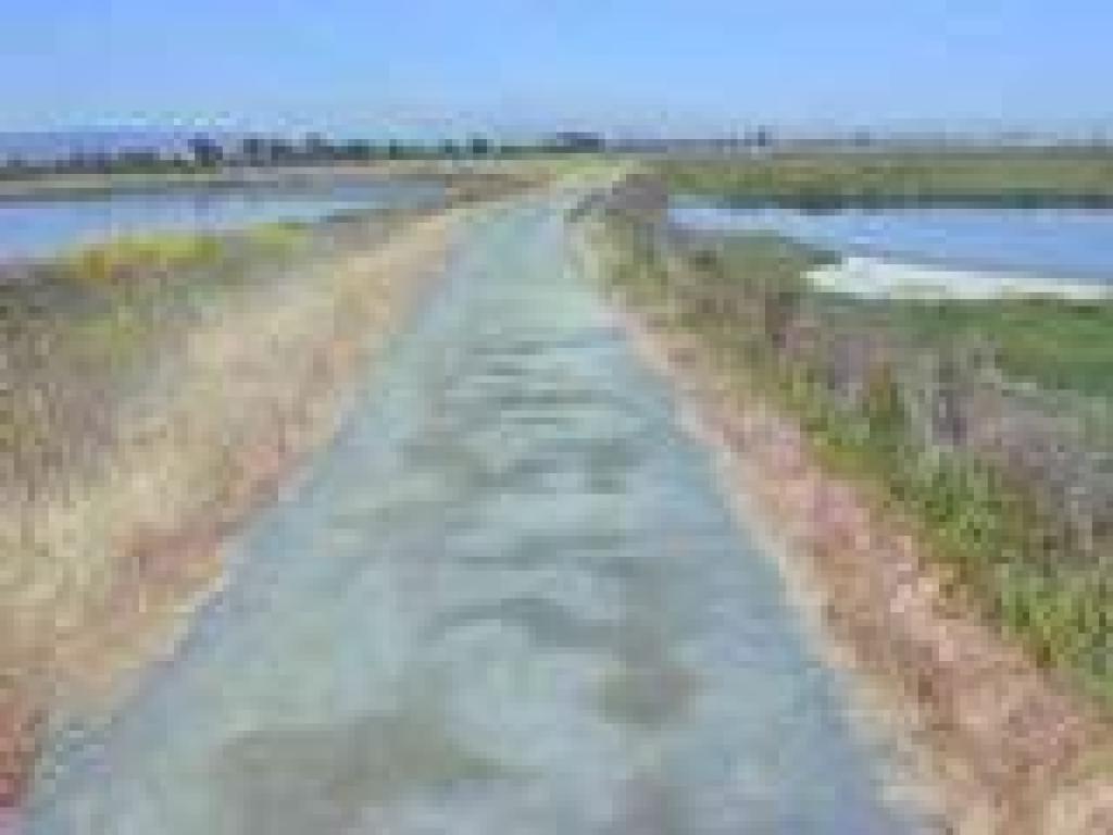San Francisquito Trail