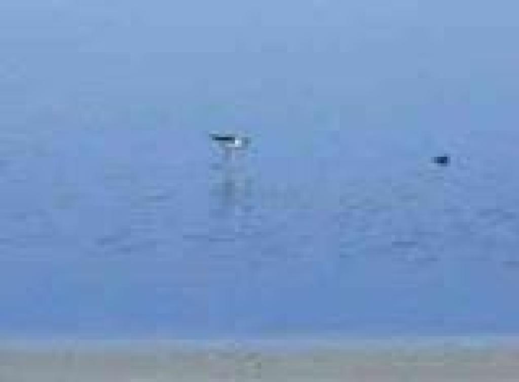 Stilt