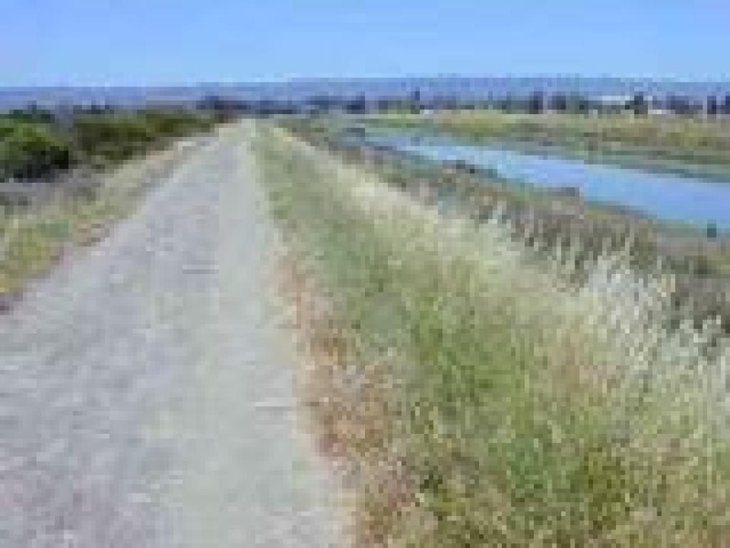 Along San Francisquito Creek