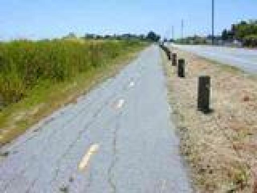Along Bayshore Road