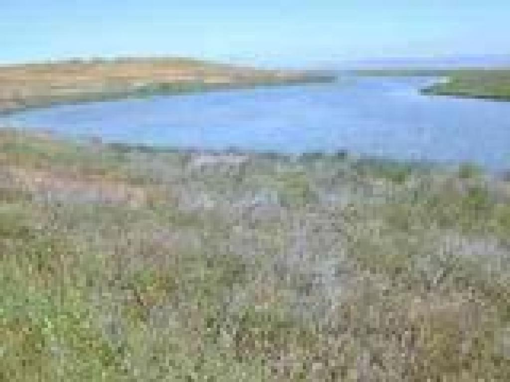 Mayfield Slough
