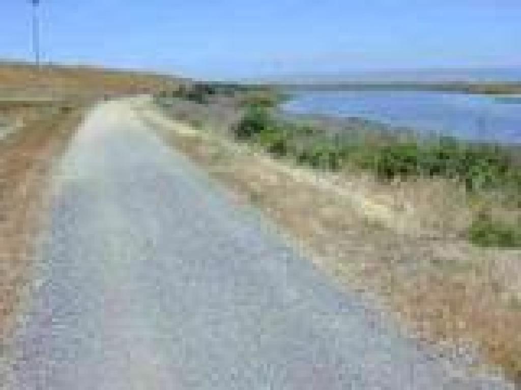 Baylands Preserve