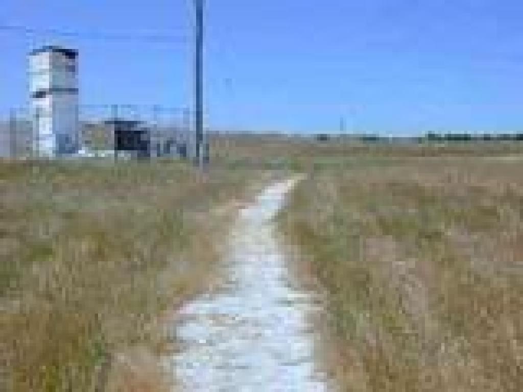 Trail