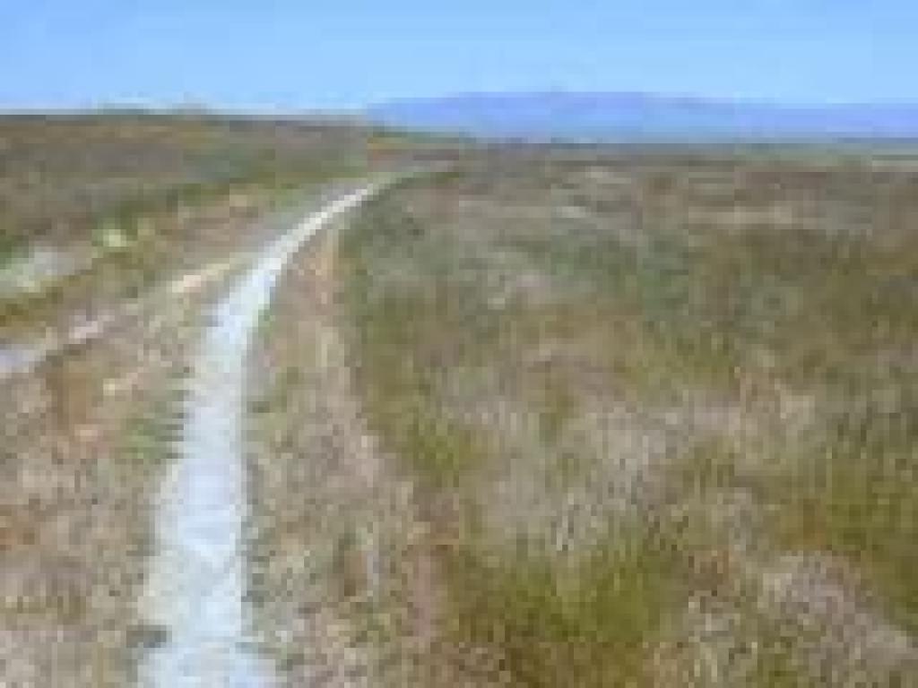 View east