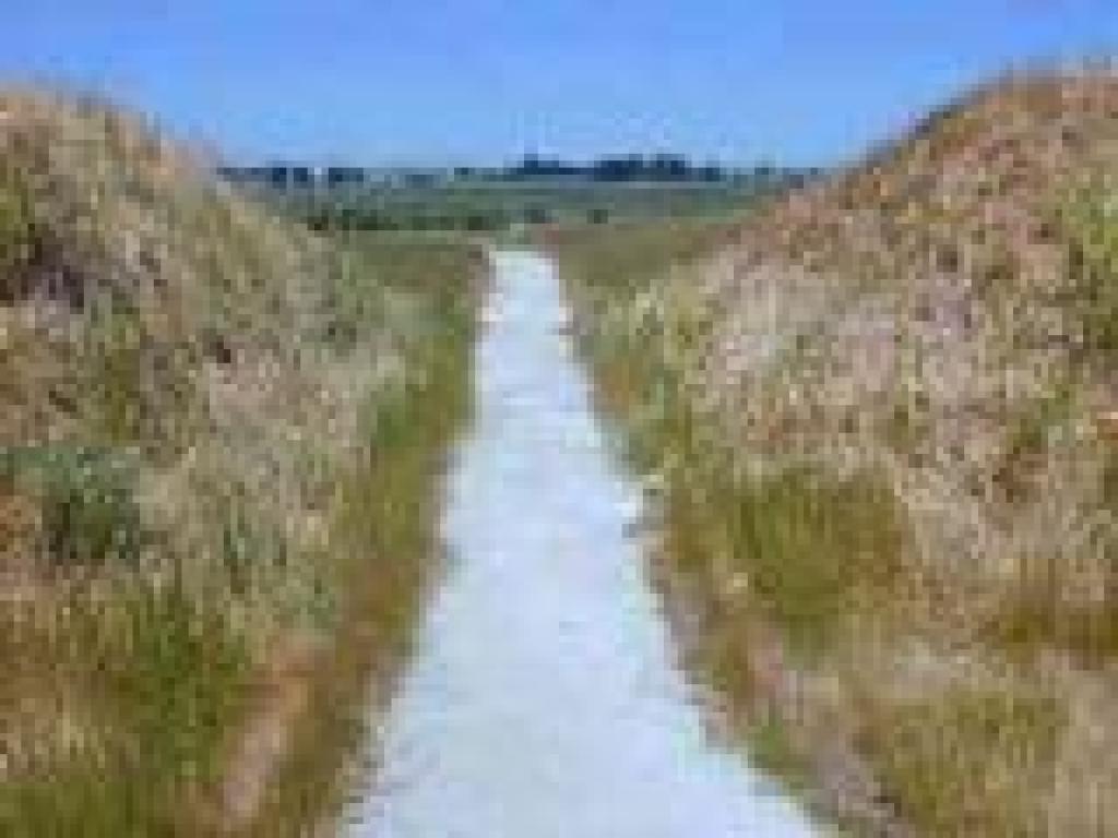 Trail