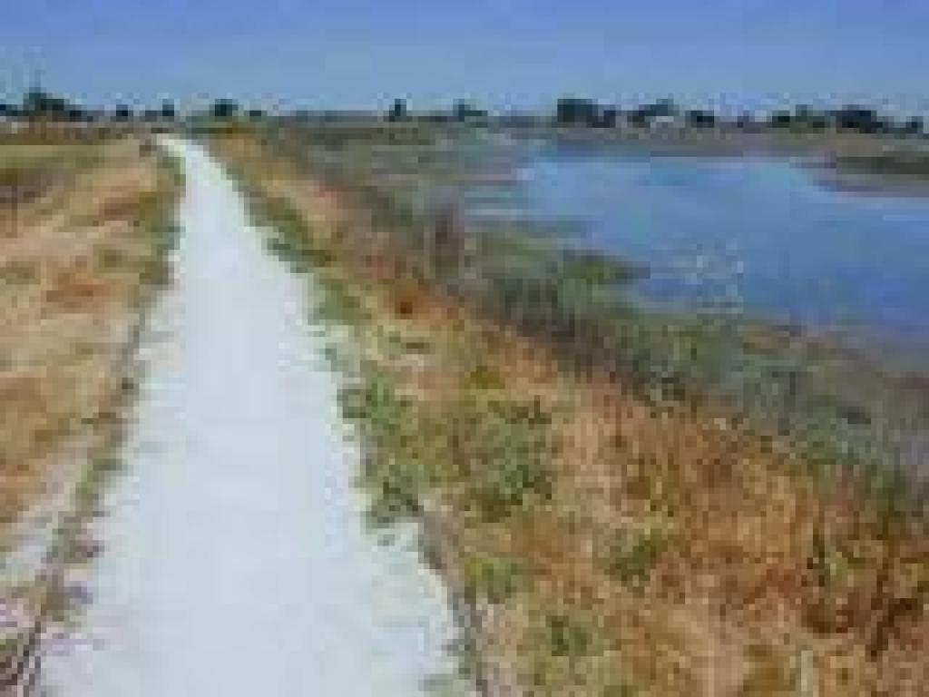 Marsh Front Trail