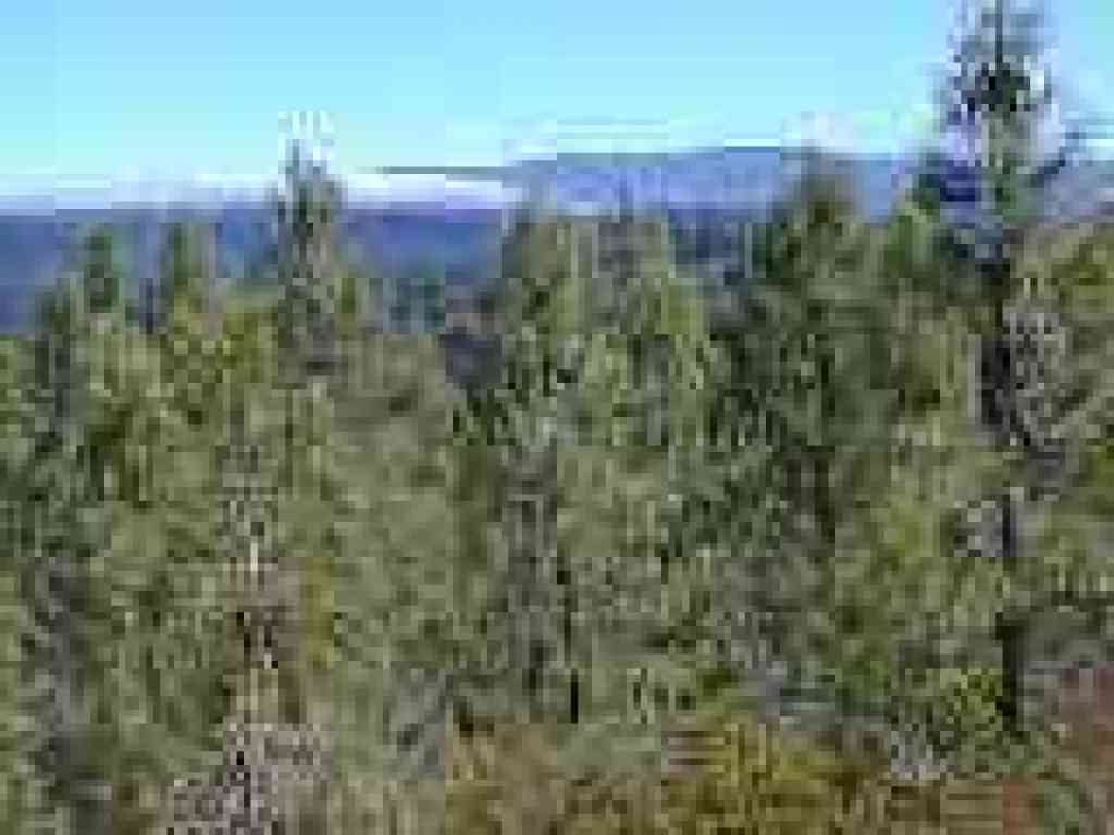 Photo of Big Basin Redwoods State Park