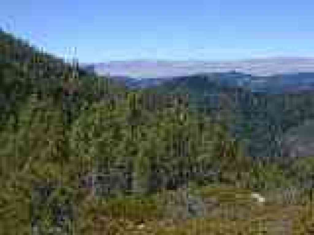Slopes of Pine Mountain visible to the left