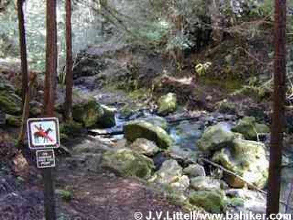 Crossing Waddell Creek