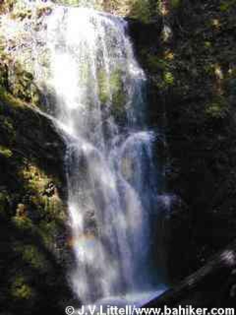 Berry Creek Falls