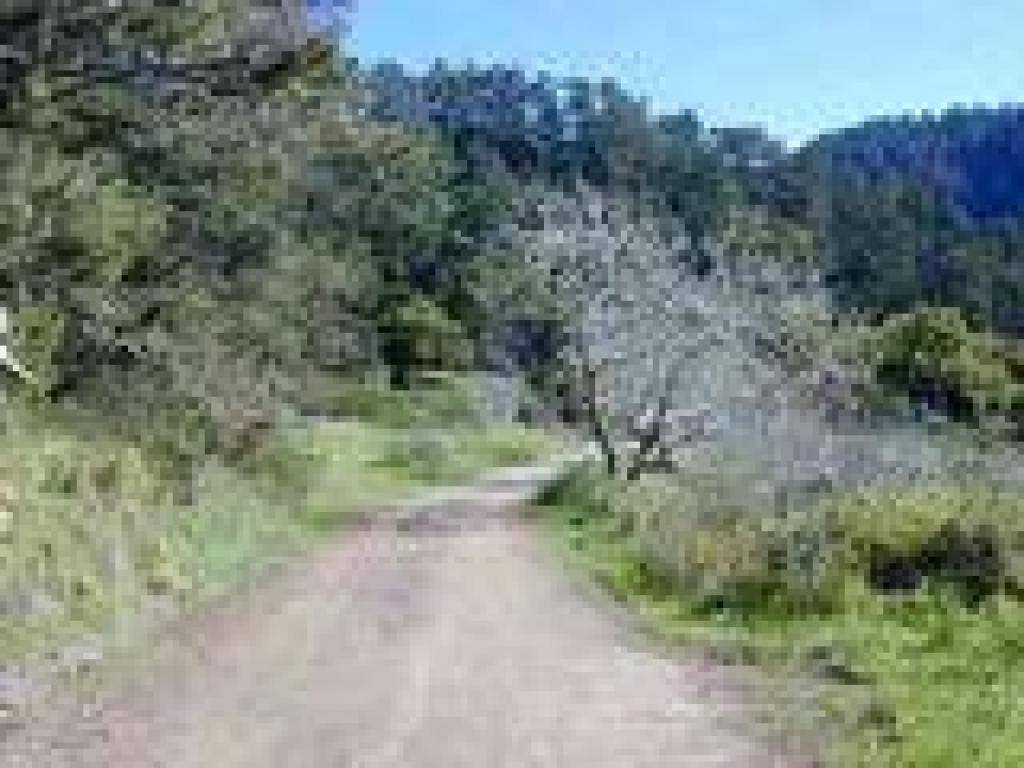 Level trail