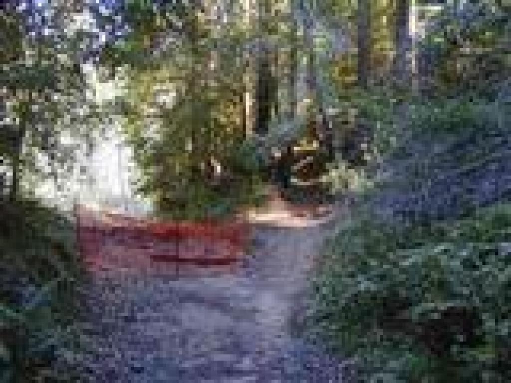 Reroute