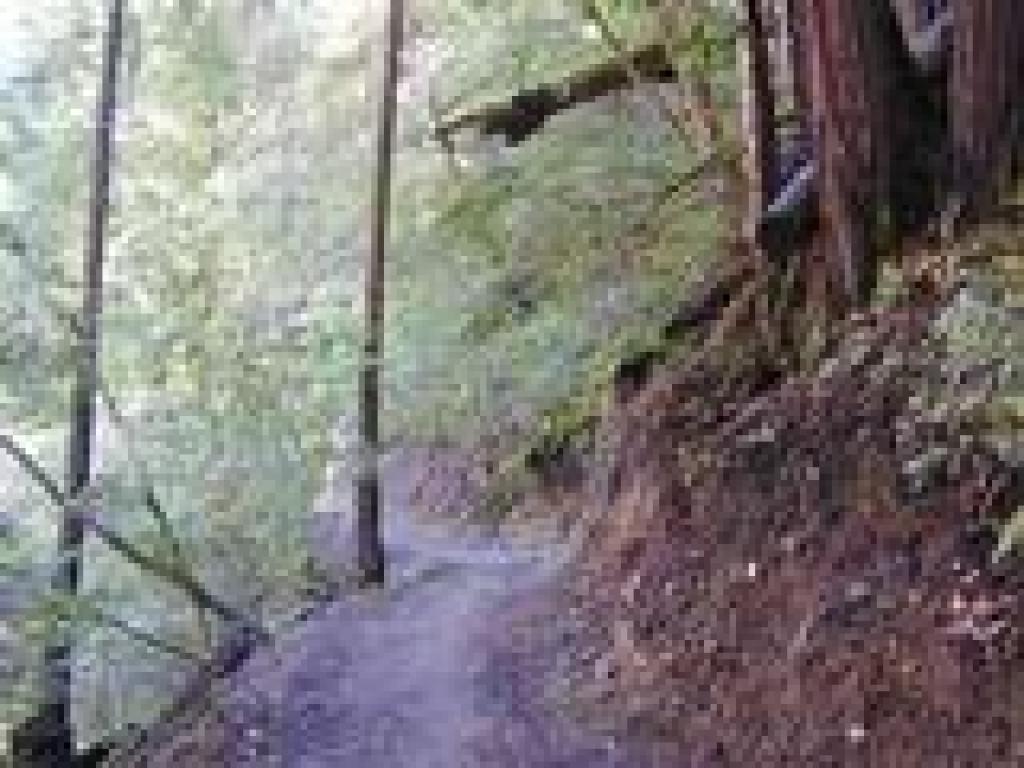 Reroute