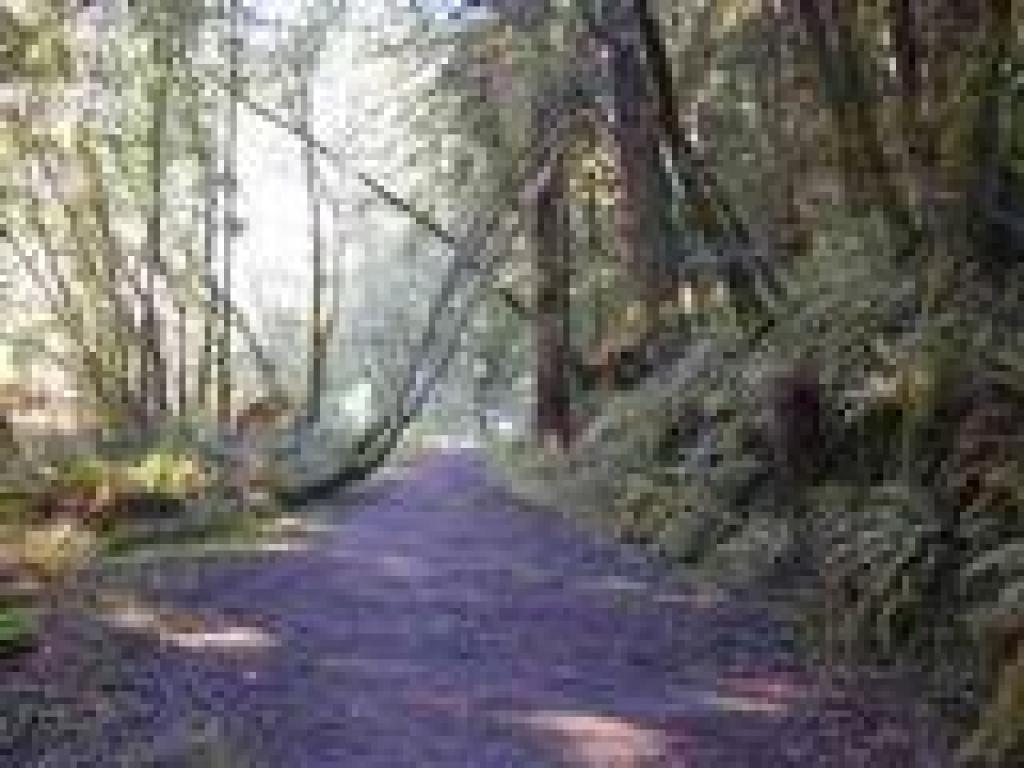 Skyline to the Sea Trail